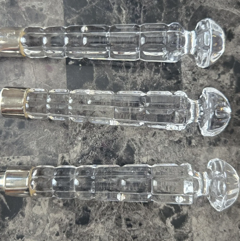 Stylish Silver and Clear Handle Flatware Set